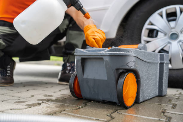 Best Tree Maintenance Programs  in Pittsburg, KS